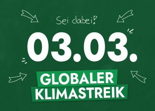 Weltweit auf die Straße - Klimastreik am 3. März